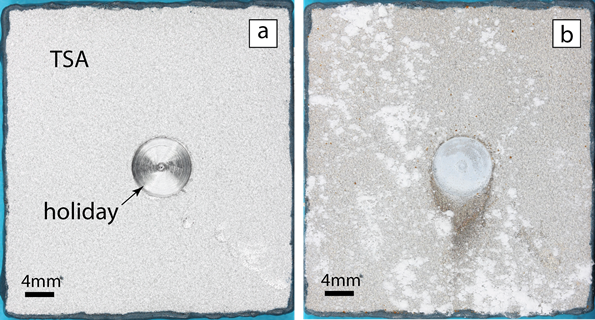 Photographs of the TSA-coated sample (a) before and (b) after testing in synthetic seawater. White corrosion product, Al(OH)<sub>3</sub>, is evident on the surface of the intact SA coating. Images courtesy of Shiladitya Paul.