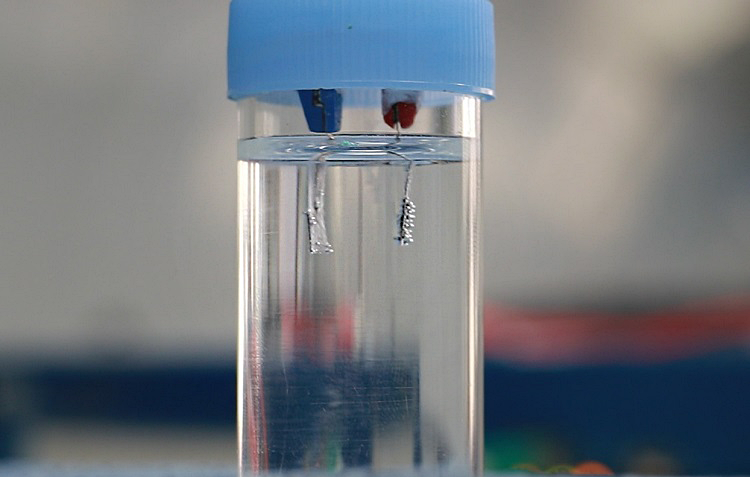 Oxygen evolution on the surface of the nanocarbon-coated electrode used in the study on alkaline water electrolysis. Photo courtesy of DGIST.