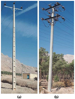 Two different types of concrete poles: (a) H cross section, and (b) round cross section or O section.
