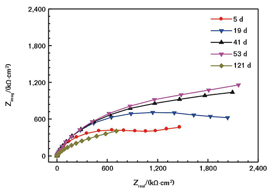 FIGURE 2 Nyquist plots of the CACC with 20 wt% of nickel powder immersed in mild SASS for different times.