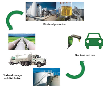 FIGURE 2 Biodiesel from production through end use.