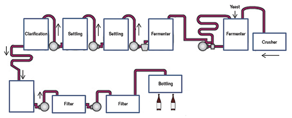 FIGURE 5 Wine production schematic diagram.