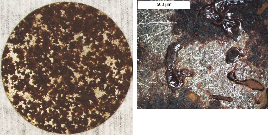 The exposed CS sample with <i>BL</i>-inoculated soil after cleaning (left). The sample (right) showed elongated corrosion features on the surface, which could be associated with bacterial activity. Photos courtesy of Xihua He.