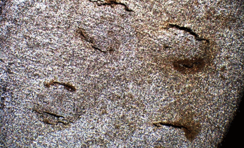An image of the surface of the S235JR CS specimen after four weeks of testing, taken with an optical microscope equipped with a digital camera. Large cracks and blisters are clearly visible. Photo courtesy of Sigrún Nanna Karlsdóttir.