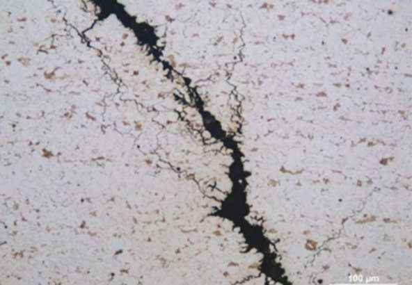 FIGURE 2 An example of multi-branched intergranular stress corrosion cracks found close to recovered girth welds.