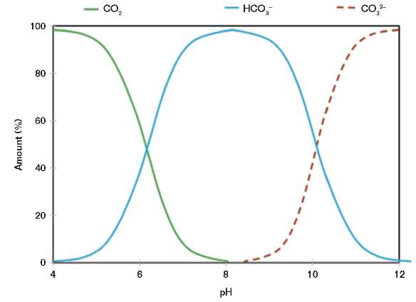 FIGURE 4 CO<sub>2</sub> is in solution at a low pH, but mixtures of bicarbonate and carbonate ions are formed at a pH above eight.