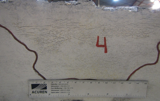 An SCC colony found near the fracture surface from a ruptured section of pipe. Photo courtesy of Acuren.