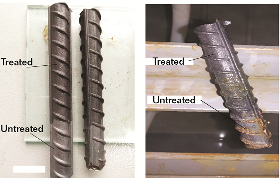 FIGURE 3 Photographs of the specimens: (a) partly treated rebar before SST, (b) partly treated rebar after SST.