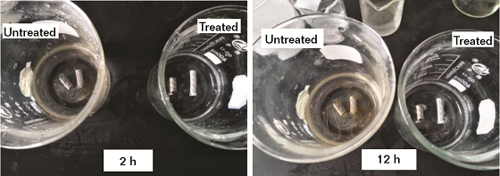 FIGURE 4  Photographs of the specimens immersed in the NaCl solution after 2 h (a) and 12 h (b).