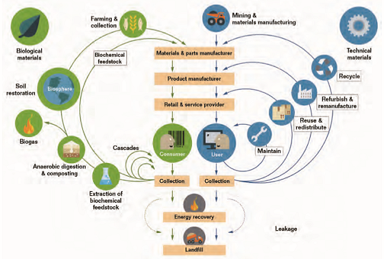 FIGURE 2 Circular Economy Systems Diagram. Source: Ellen MacArthur Foundation
