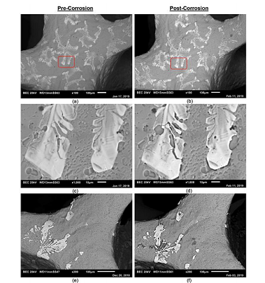FIGURE 3 The microstructure of an open-cell aluminum foam before and after corrosion using BEI.