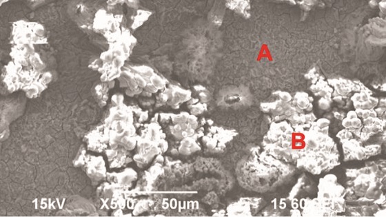 FIGURE 4 SEM image spectra of the corroded surfaces of a specimen.