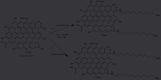 FIGURE 1 TEM image of the prepared diaminododecane as an example. Graphics courtesy of the authors.