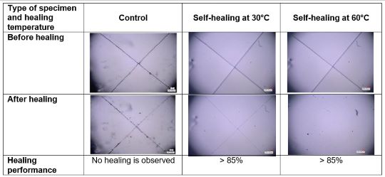 FIGURE 2 Healing performance for control and self-healing of BE-PU.