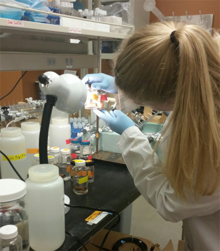 Christina Devine examines changes in water quality in one of the test bottles. Photo credit: Flintwaterstudy.org. 