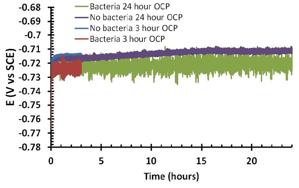 Time vs. OCP data for 3-h and 24-h relaxed potential holds for samples with and without the addition of bacteria. Image courtesy of CSIRO.
